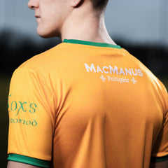 Leitrim GAA Away Jersey 2025